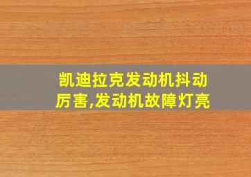 凯迪拉克发动机抖动厉害,发动机故障灯亮