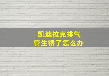 凯迪拉克排气管生锈了怎么办