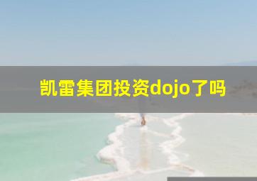 凯雷集团投资dojo了吗