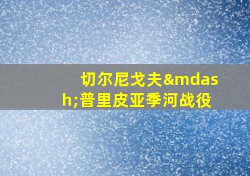 切尔尼戈夫—普里皮亚季河战役