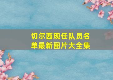 切尔西现任队员名单最新图片大全集