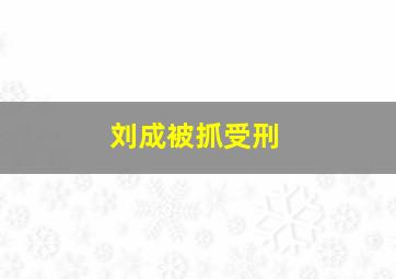 刘成被抓受刑