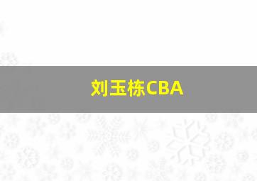 刘玉栋CBA