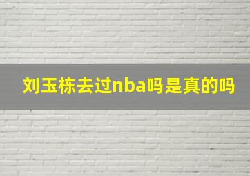 刘玉栋去过nba吗是真的吗