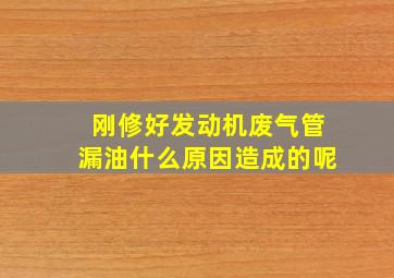 刚修好发动机废气管漏油什么原因造成的呢