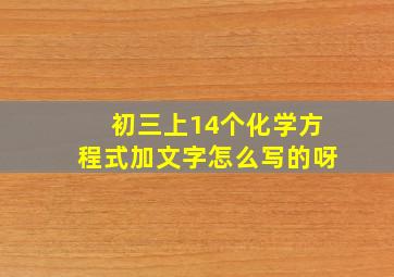 初三上14个化学方程式加文字怎么写的呀