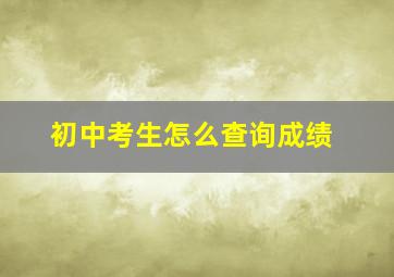 初中考生怎么查询成绩