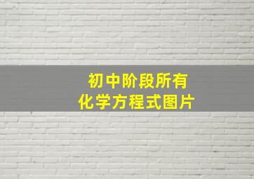 初中阶段所有化学方程式图片