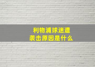 利物浦球迷遭袭击原因是什么