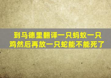 到马德里翻译一只蚂蚁一只鸡然后再放一只蛇能不能死了