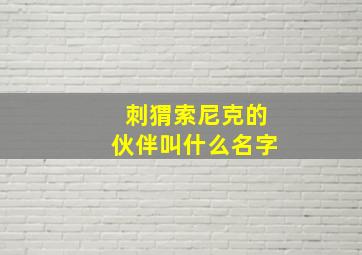 刺猬索尼克的伙伴叫什么名字