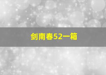 剑南春52一箱