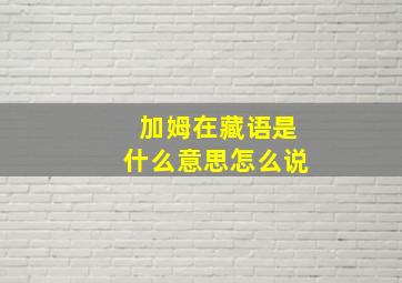 加姆在藏语是什么意思怎么说