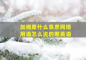 加姆是什么意思网络用语怎么说的呢英语