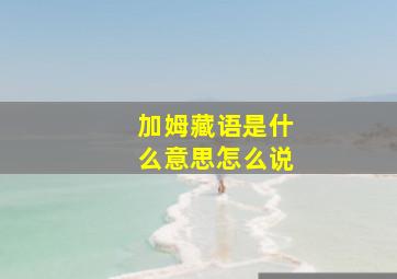 加姆藏语是什么意思怎么说