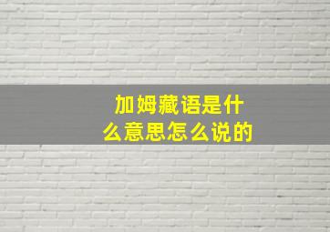 加姆藏语是什么意思怎么说的