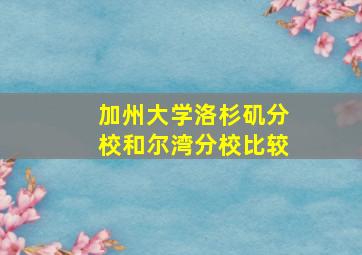 加州大学洛杉矶分校和尔湾分校比较