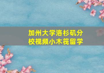 加州大学洛杉矶分校视频小木筏留学