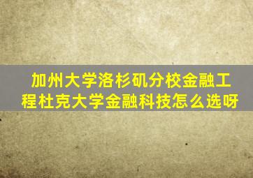 加州大学洛杉矶分校金融工程杜克大学金融科技怎么选呀