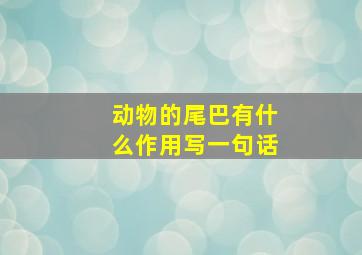 动物的尾巴有什么作用写一句话