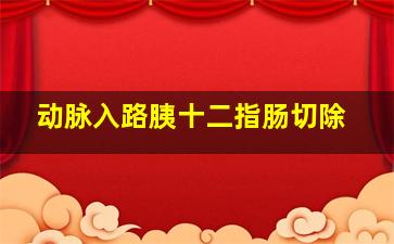 动脉入路胰十二指肠切除