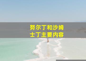 努尔丁和沙姆士丁主要内容