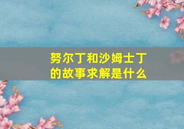 努尔丁和沙姆士丁的故事求解是什么