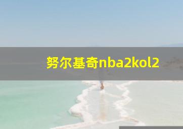 努尔基奇nba2kol2