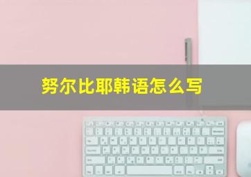 努尔比耶韩语怎么写