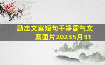 励志文案短句干净霸气文案图片20235月31