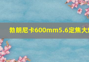 勃朗尼卡600mm5.6定焦大炮