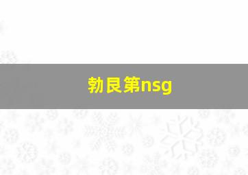 勃艮第nsg