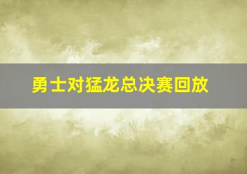 勇士对猛龙总决赛回放