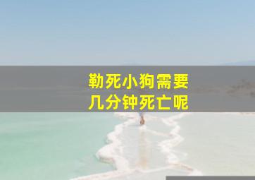 勒死小狗需要几分钟死亡呢