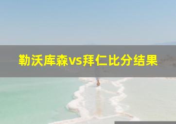 勒沃库森vs拜仁比分结果