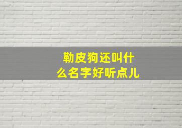 勒皮狗还叫什么名字好听点儿