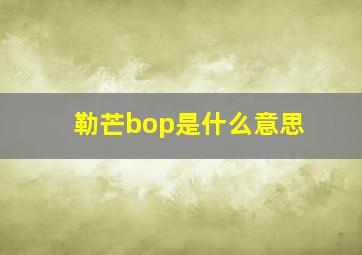 勒芒bop是什么意思