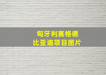 匈牙利赛格德比亚迪项目图片