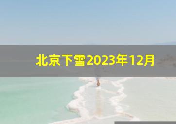 北京下雪2023年12月