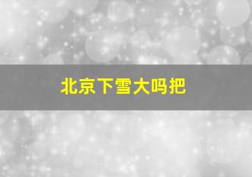 北京下雪大吗把