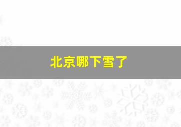 北京哪下雪了