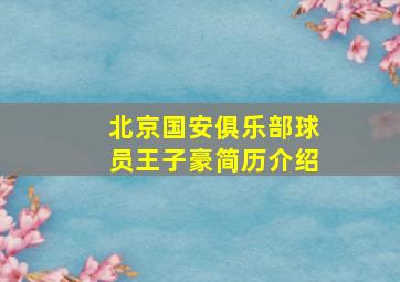 北京国安俱乐部球员王子豪简历介绍