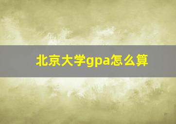 北京大学gpa怎么算