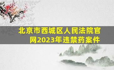 北京市西城区人民法院官网2023年违禁药案件