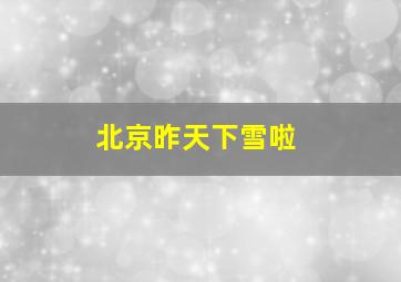 北京昨天下雪啦