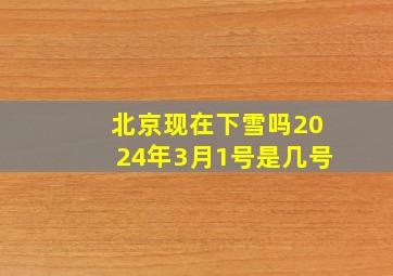 北京现在下雪吗2024年3月1号是几号