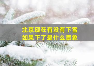 北京现在有没有下雪如果下了是什么景象