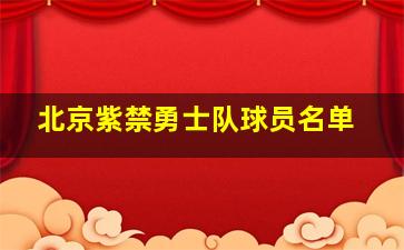 北京紫禁勇士队球员名单