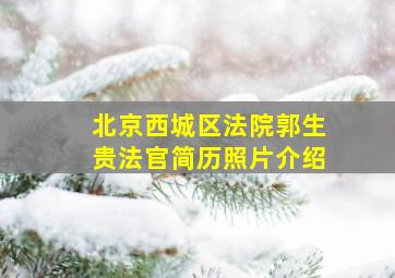 北京西城区法院郭生贵法官简历照片介绍