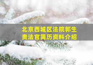 北京西城区法院郭生贵法官简历资料介绍